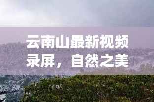 定谋贵决 第2页