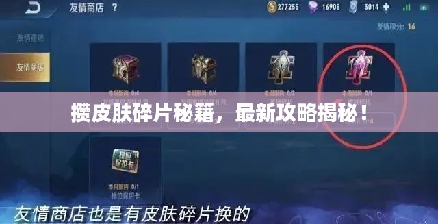 攒皮肤碎片秘籍,最新攻略揭秘!
