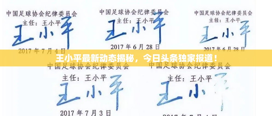 王小平最新动态揭秘,今日头条独家报道!