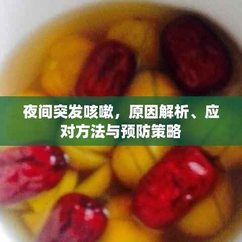 夜间突发咳嗽,原因解析、应对方法与预防策略