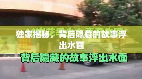 别出新意 第2页