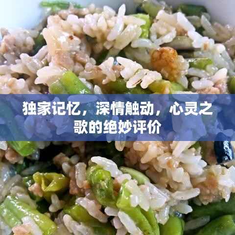 独家记忆,深情触动,心灵之歌的绝妙评价