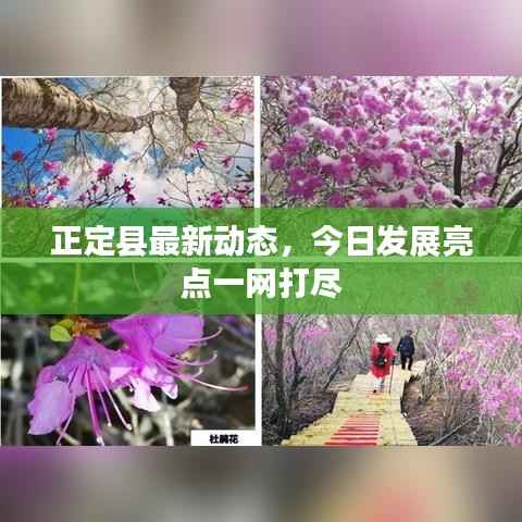 正定县最新动态,今日发展亮点一网打尽