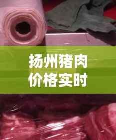 扬州猪肉价格实时更新,今日最新动态