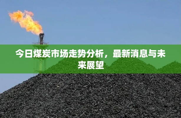 今日煤炭市场走势分析,最新消息与未来展望