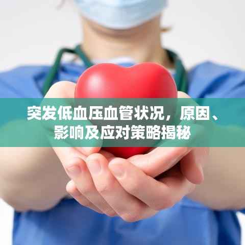 突发低血压血管状况,原因、影响及应对策略揭秘