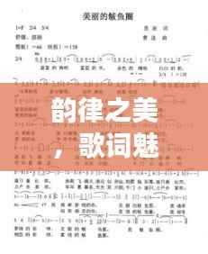 韵律之美,歌词魅力深度解读