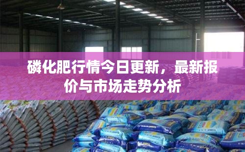 磷化肥行情今日更新,最新报价与市场走势分析