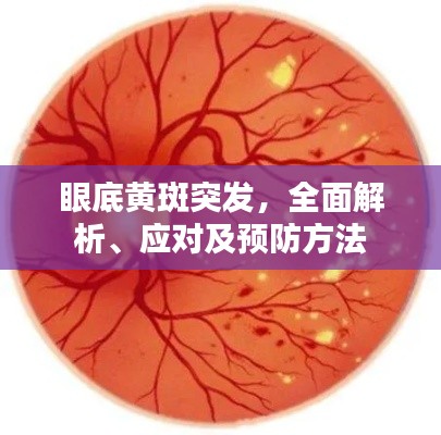 眼底黄斑突发,全面解析、应对及预防方法