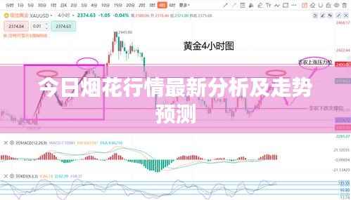 今日烟花行情最新分析及走势预测