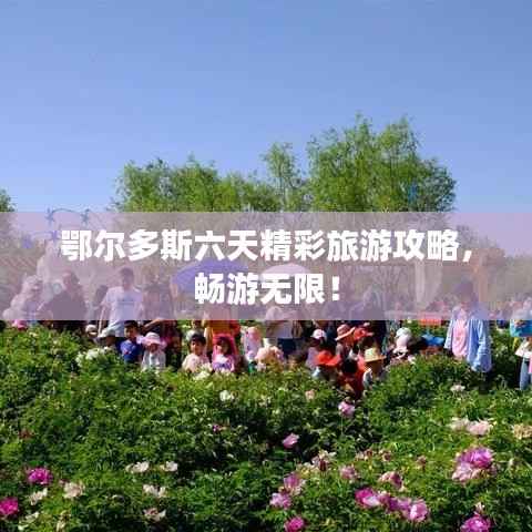 鄂尔多斯六天精彩旅游攻略,畅游无限!