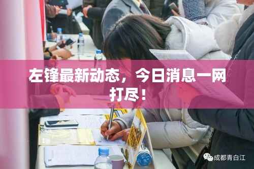 左锋最新动态,今日消息一网打尽!
