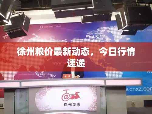 徐州粮价最新动态,今日行情速递