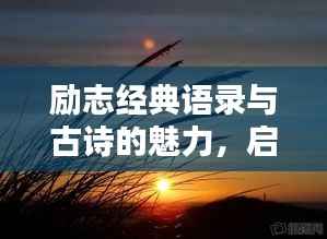 励志经典语录与古诗的魅力,启迪心灵的智慧光芒