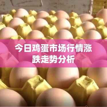 今日鸡蛋市场行情涨跌走势分析