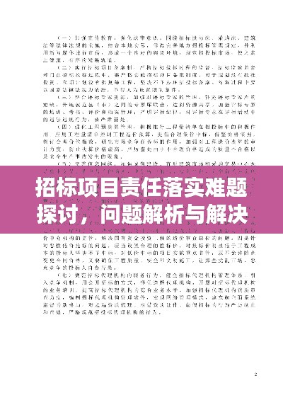 招标项目责任落实难题探讨,问题解析与解决之道