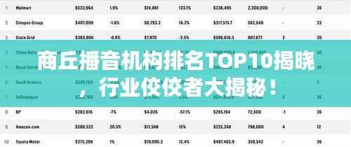 商丘播音机构排名TOP10揭晓,行业佼佼者大揭秘!