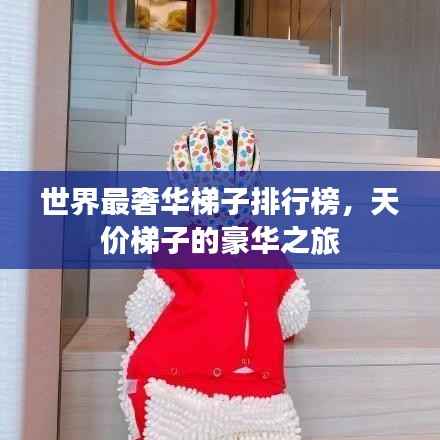 世界最奢华梯子排行榜,天价梯子的豪华之旅