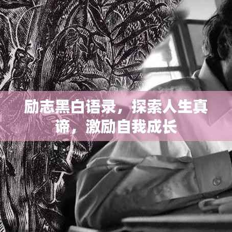 励志黑白语录,探索人生真谛,激励自我成长