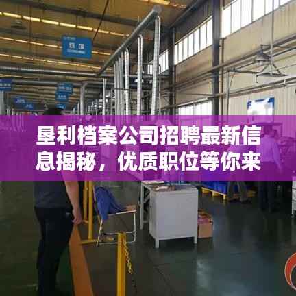 垦利档案公司招聘最新信息揭秘,优质职位等你来挑战!