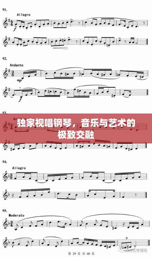 独家视唱钢琴,音乐与艺术的极致交融