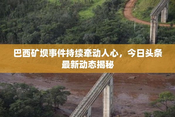 巴西矿坝事件持续牵动人心,今日头条最新动态揭秘