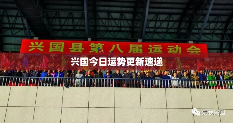 兴国今日运势更新速递