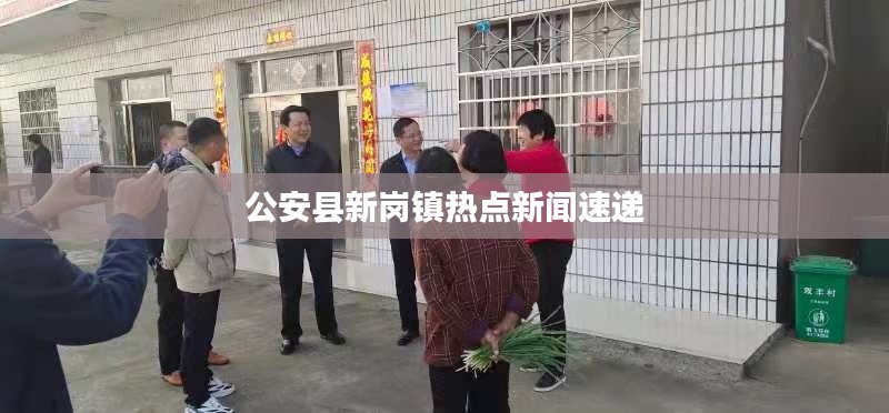 公安县新岗镇热点新闻速递