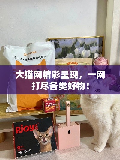 大猫网精彩呈现,一网打尽各类好物!