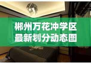 郴州万花冲学区最新划分动态图曝光