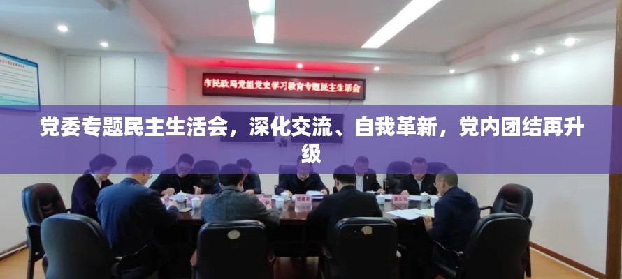 党委专题民主生活会,深化交流、自我革新,党内团结再升级