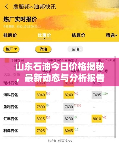 山东石油今日价格揭秘,最新动态与分析报告