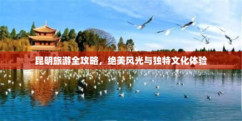 昆明旅游全攻略,绝美风光与独特文化体验