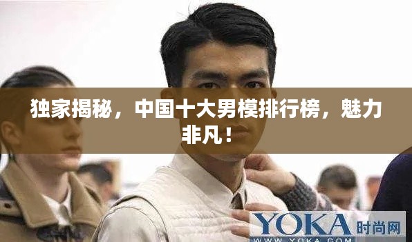 独家揭秘,中国十大男模排行榜,魅力非凡!