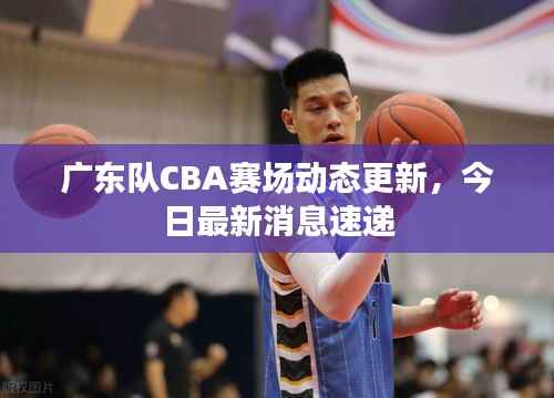 广东队CBA赛场动态更新,今日最新消息速递