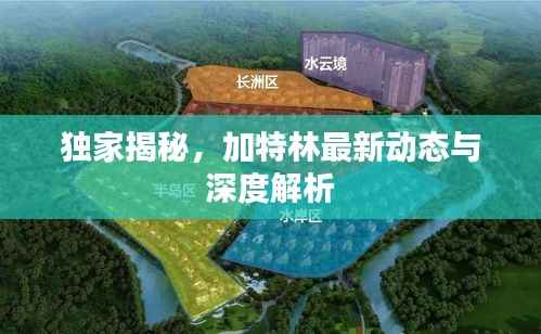 独家揭秘,加特林最新动态与深度解析