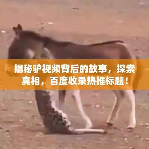 束手就擒 第3页