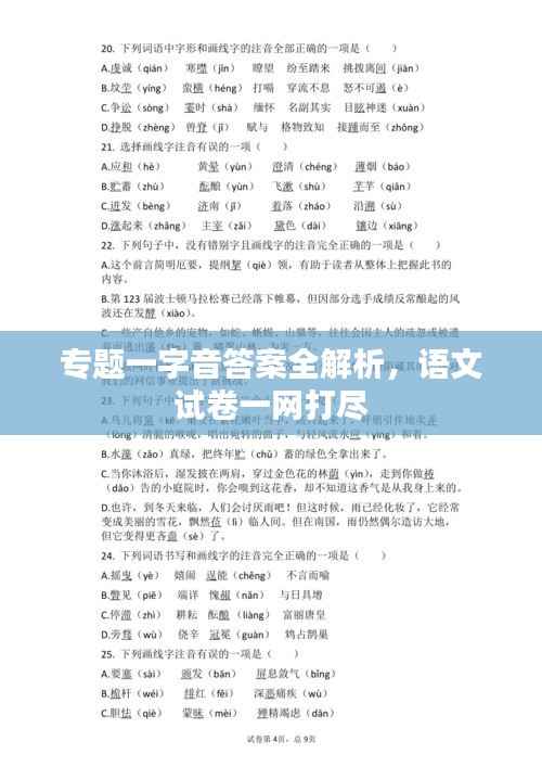 专题一字音答案全解析,语文试卷一网打尽
