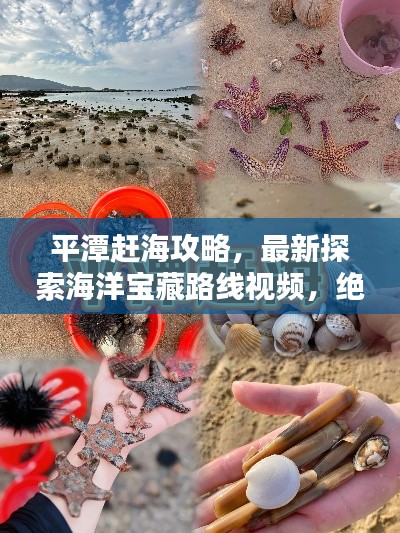 平潭赶海攻略,最新探索海洋宝藏路线视频,绝佳指南!