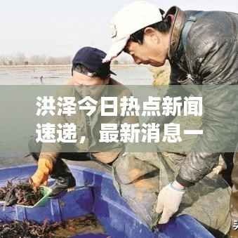 洪泽今日热点新闻速递,最新消息一览