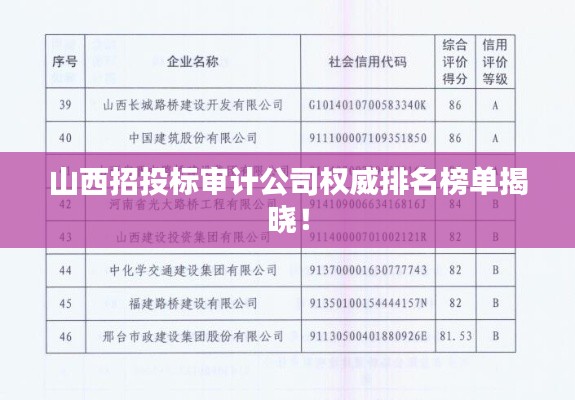 山西招投标审计公司权威排名榜单揭晓!