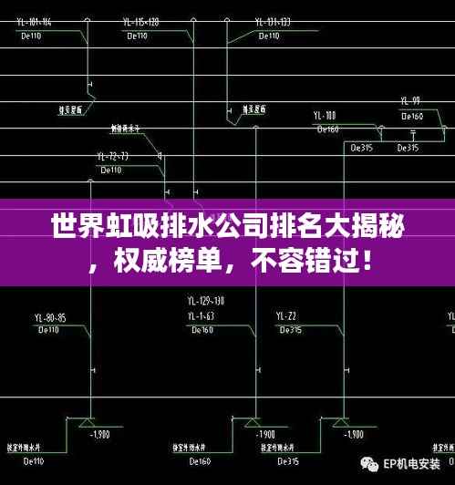 世界虹吸排水公司排名大揭秘,权威榜单,不容错过!
