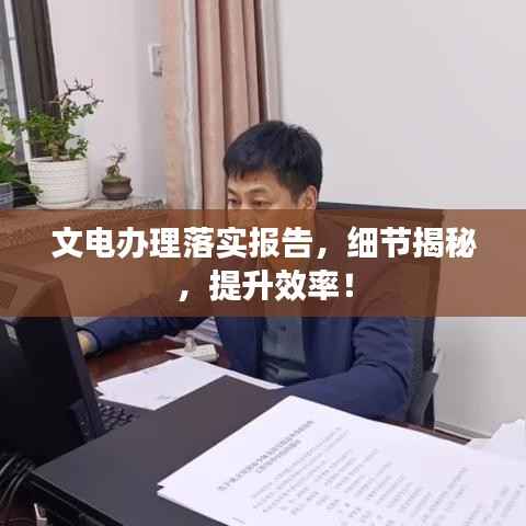 文电办理落实报告,细节揭秘,提升效率!