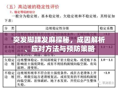 突发脚踝发麻探秘,成因解析、应对方法与预防策略