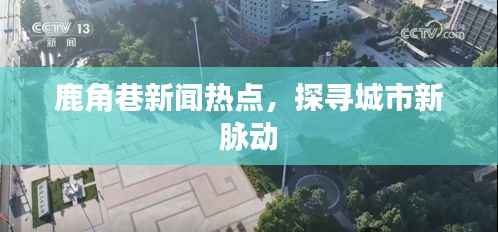 鹿角巷新闻热点,探寻城市新脉动