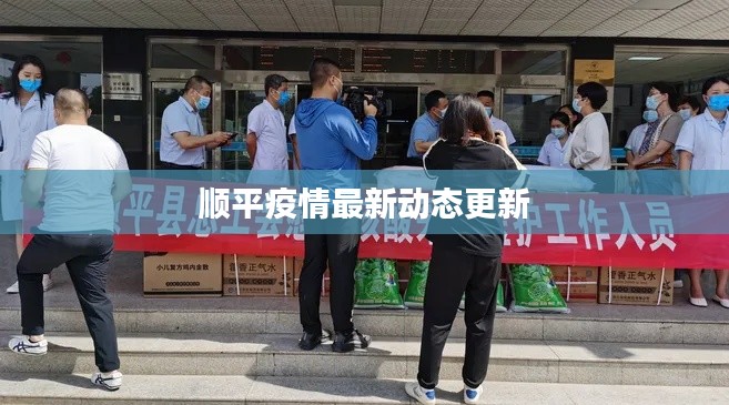 顺平疫情最新动态更新