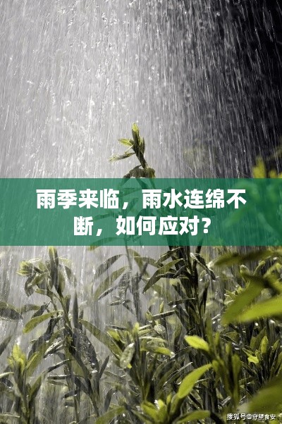 雨季来临,雨水连绵不断,如何应对?