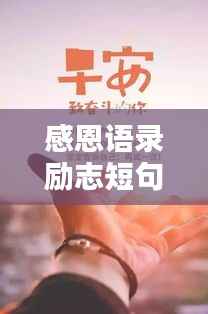 感恩语录励志短句,激发无限正能量!