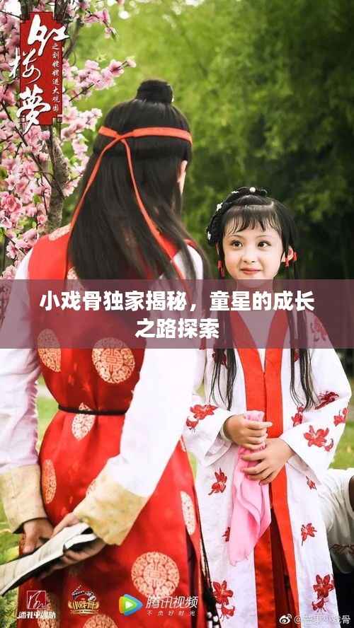 小戏骨独家揭秘,童星的成长之路探索