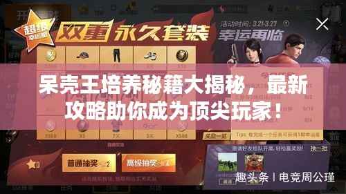 呆壳王培养秘籍大揭秘,最新攻略助你成为顶尖玩家!